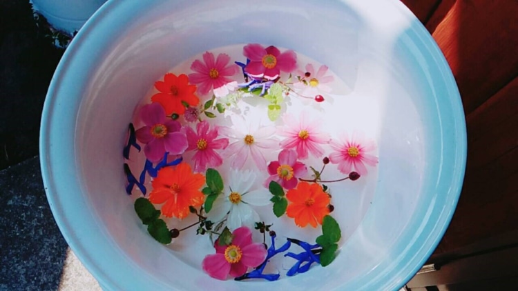 花と洗面器