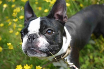 写真：東京、熊本市を経て限界集落へ移住。震災で考えたこと