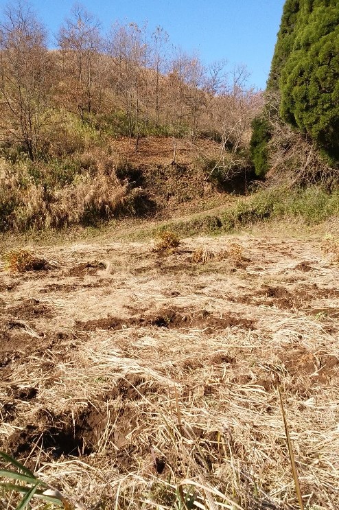 農業ってどうやって始める シェフの夫が限界集落で農業者に カラふる ふるさとニュースマガジン