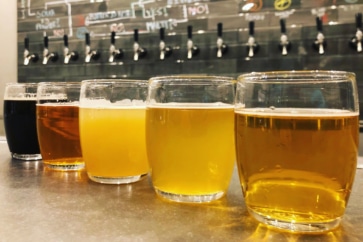 写真:気仙沼にクラフトビール誕生。自粛期間に缶ビールも準備中