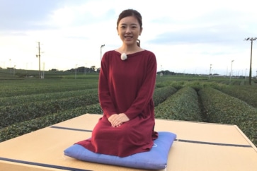 写真:新茶の季節!おいしいお茶に欠かせない静岡だけの天気予報って?