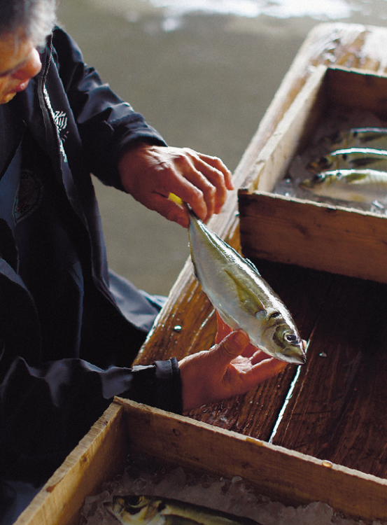 オンラインで魚をさばいて漁師と宴会 宮崎のアジを楽しむ会が盛況 カラふる ふるさとニュースマガジン