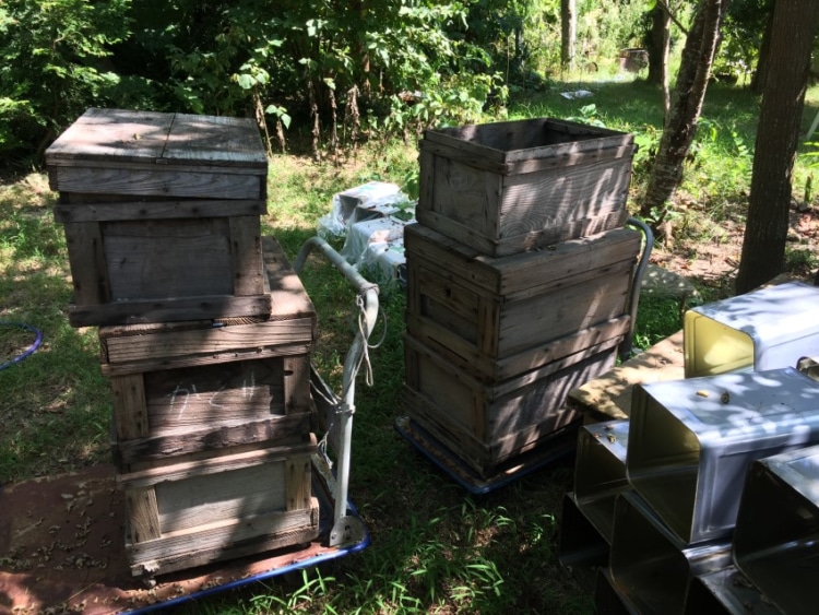 園内のミツバチの巣箱