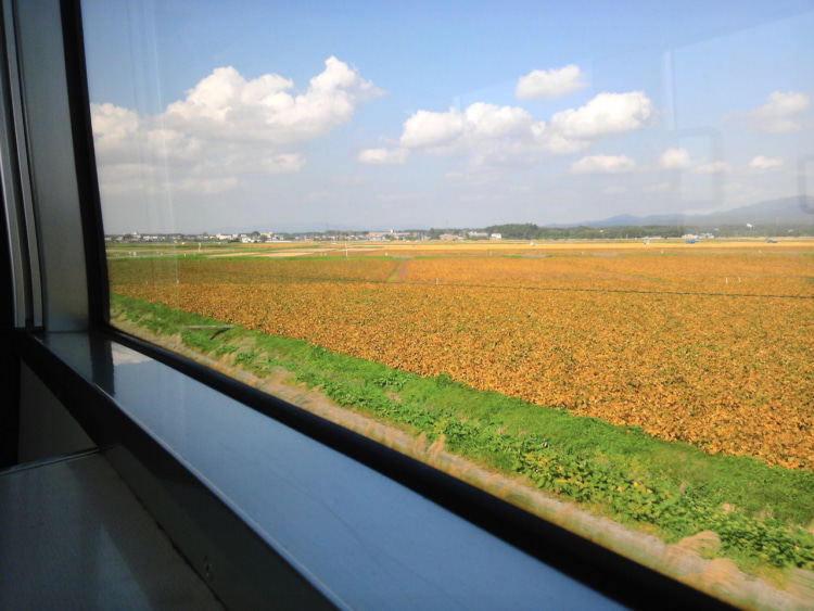 電車の車窓から眺める畑