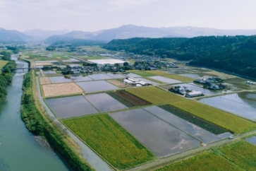 写真:蛇口から天然ミネラルウォーター。熊本市は日本で唯一の地下水都市