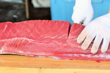 写真:「ギョーザの町」宇都宮でマグロの消費が多いのはなぜ?