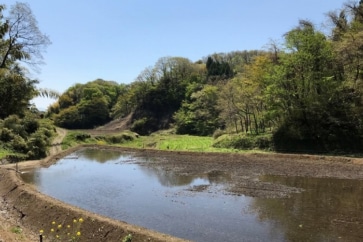 写真:「すごかばい!」。年に一度、山村の水路掃除という名の大整備