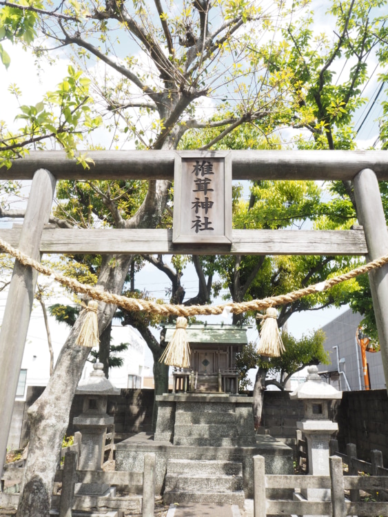 シイタケ神社