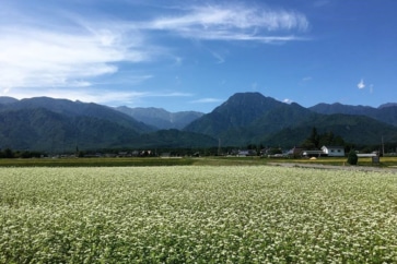 写真:移住のきっかけはご縁とタイミング。焦らず待つのが吉