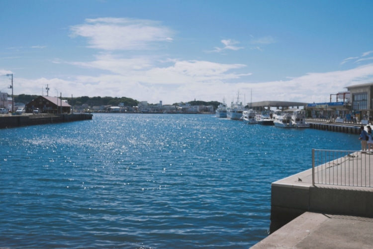 マグロで有名な三崎漁港