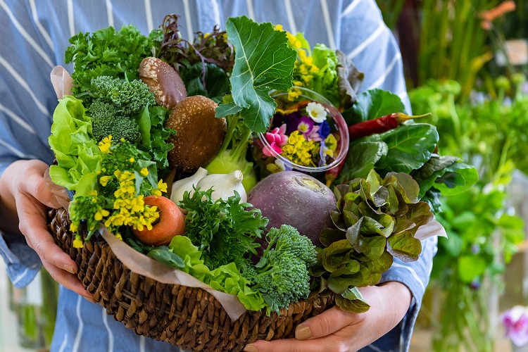 青森のお野菜BOX