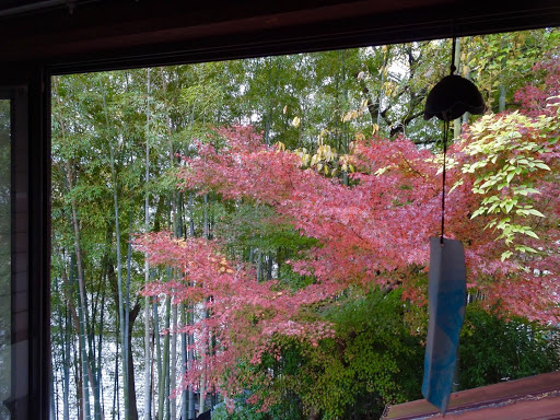 2階の窓からの景色（秋）