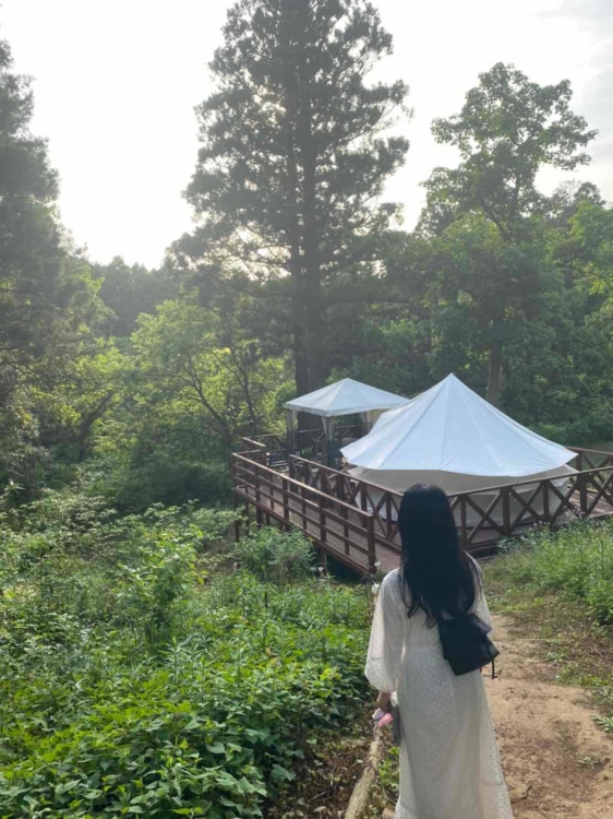 森の中のテントサイトへ