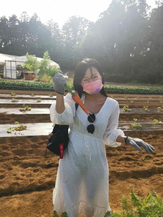 にんじんを収穫しました