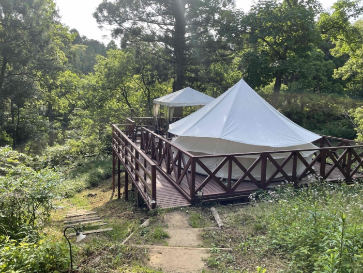 森の中にたたずむテント