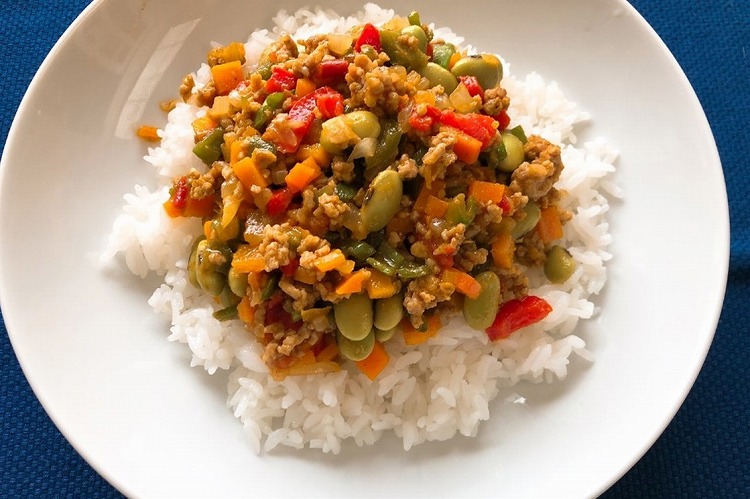 スパイシードライカレー