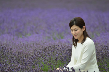 写真:ラベンダーの見頃は2週間。だけど富良野の夏はいろんな花が楽しめる!