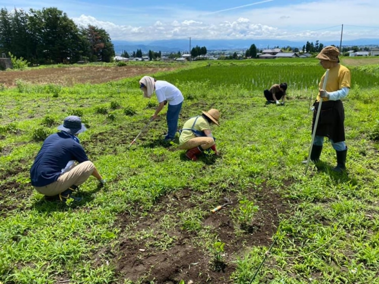 仲間と農作業を楽しむ