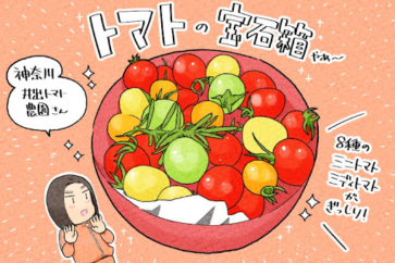 写真:色とりどりのミニトマトがぎっしり。トマトの宝石箱を食べ比べ
