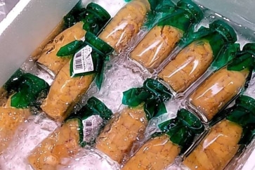 写真:岩手じゃ当たり前。新鮮なウニや海鮮丼の具は牛乳びんに入ってる