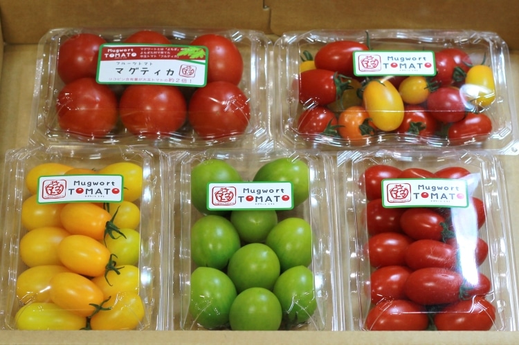 無農薬トマト5種セット