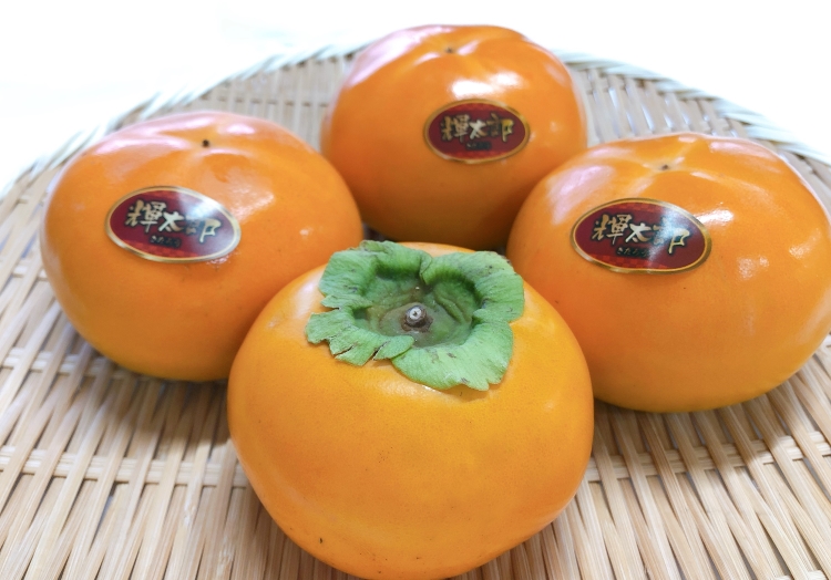 ブランド柿「輝太郎」