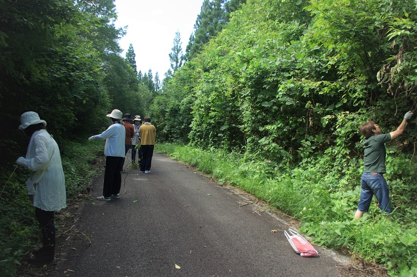 山でつたをとる参加者たち