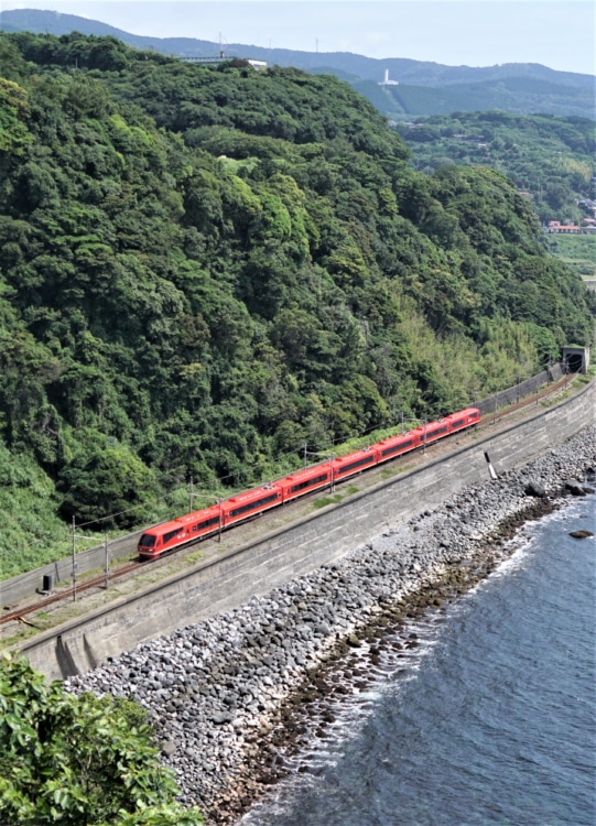 赤が映える走る様子