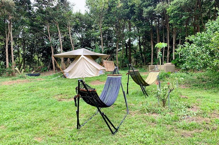 ハンモック