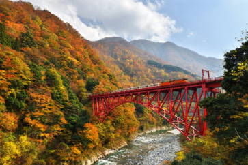 写真:錦絵のような峡谷をトロッコ列車で。秋は紅葉狩りと湯めぐりがおすすめ