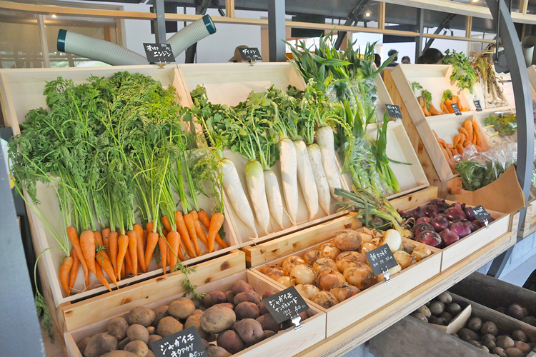 マルシェヴィソン