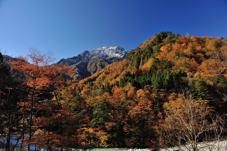 錦絵のような峡谷をトロッコ列車で 秋は紅葉狩りと湯めぐりがおすすめ カラふる ふるさとニュースマガジン