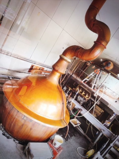 ビールの仕込釜