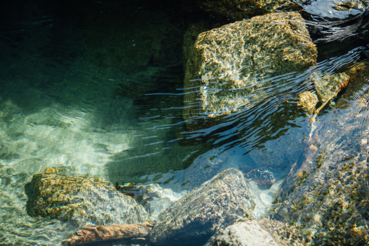 “白州の水を体現する”をテーマに