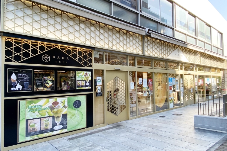 イバラキセンス