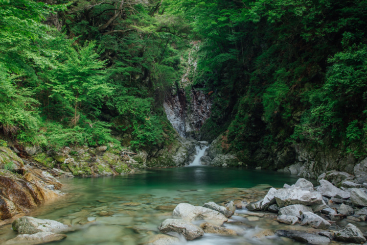 地域の人たち、作物、自然の調和・循環の中で、よりよい酒造りを