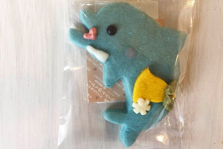 イルカ