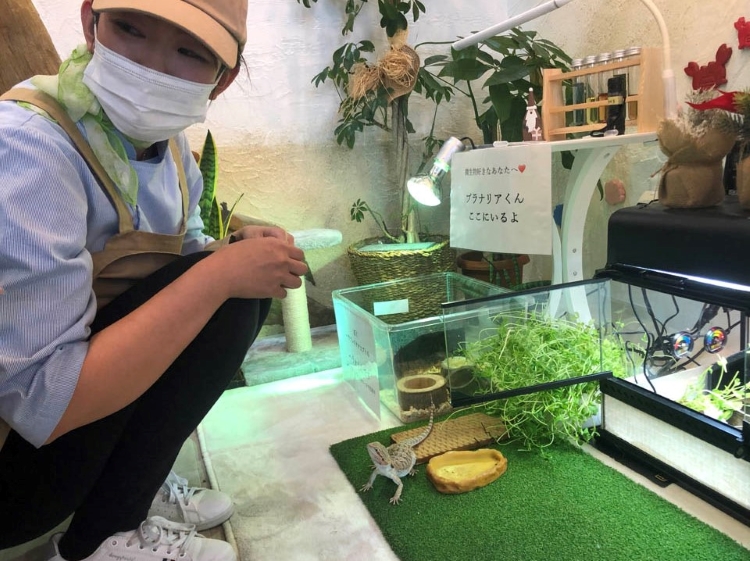 いきもの