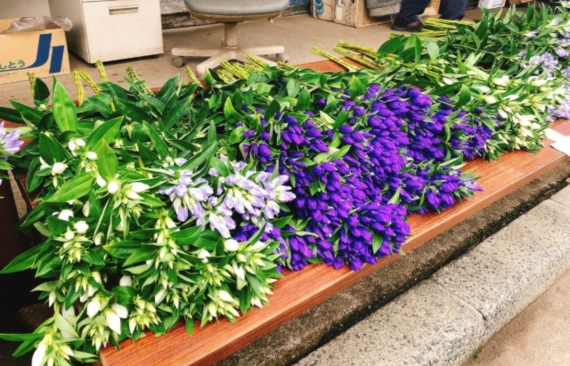 朝市で売られるりんどう