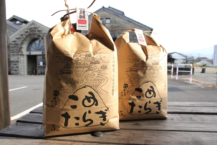 多良木町産こめたらぎ10㎏