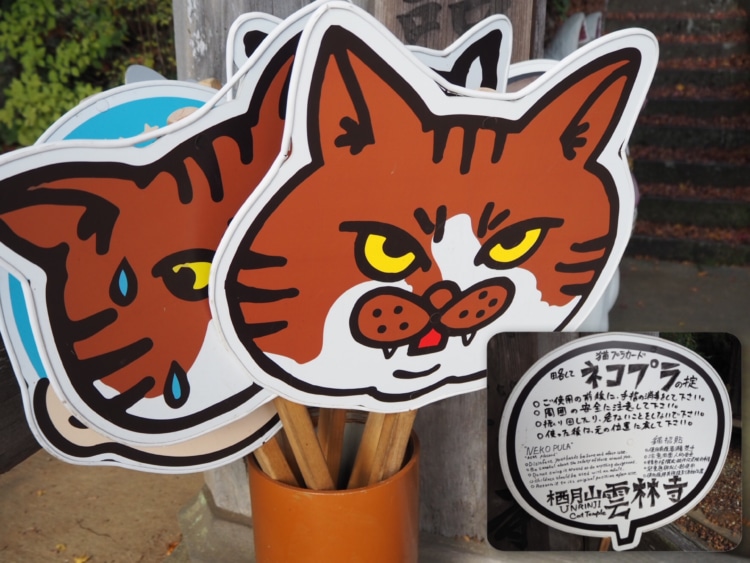 山門で記念撮影に使える「猫プラカード」
