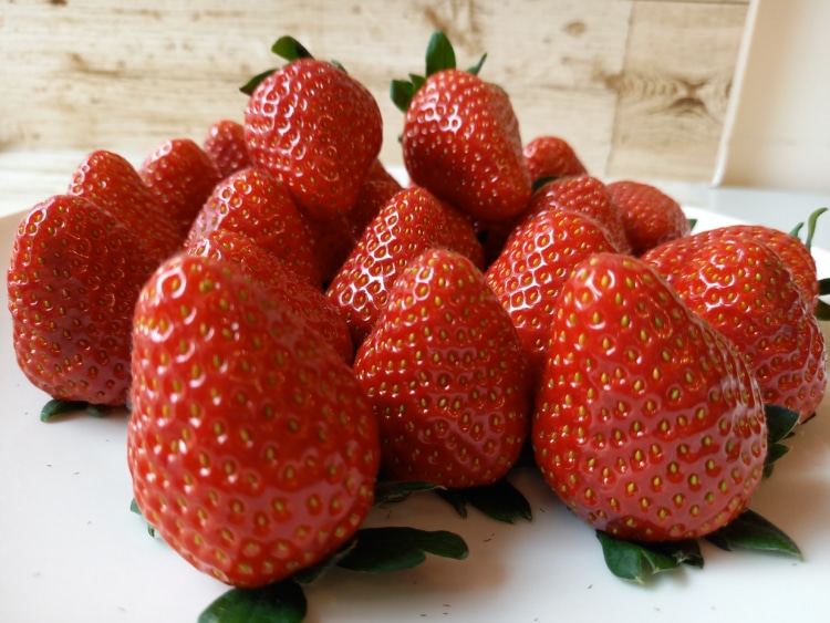 岡山のブランドイチゴ「晴苺」