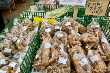 写真:なんとなく移住した沖縄でウコン栽培。今では契約農家に
