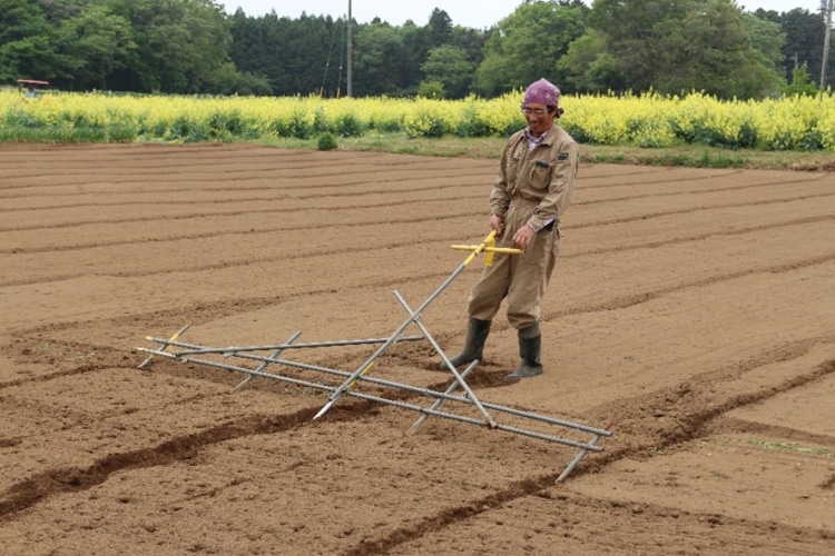 健康な土壌づくり