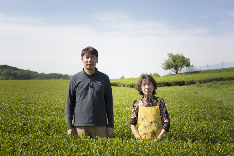 親子2代で緑茶栽培