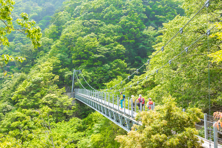 吊り橋