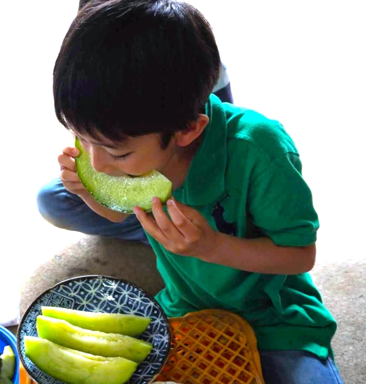 メロンにかぶりつく子ども