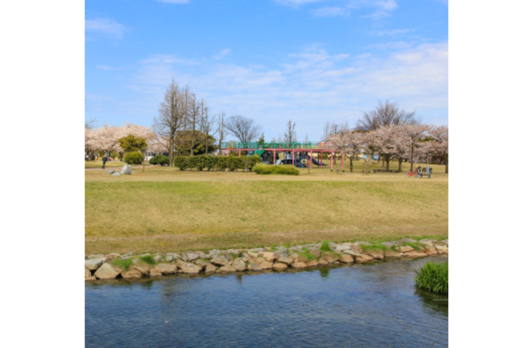黒部市総合公園
