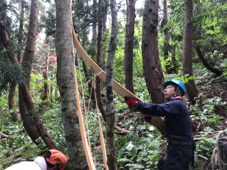 根本から鉈(なた)で、左右に裂け目を入れる