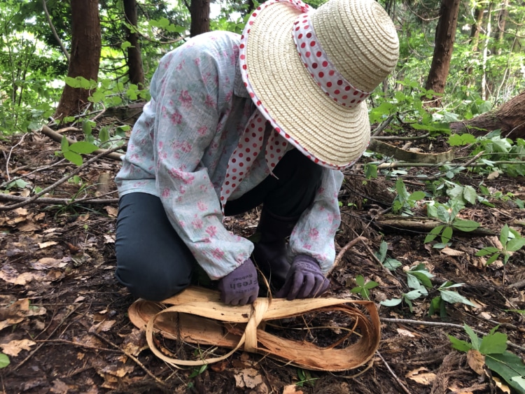 地面で一番外側の鬼皮を剥ぎ、ひとまとめにします。